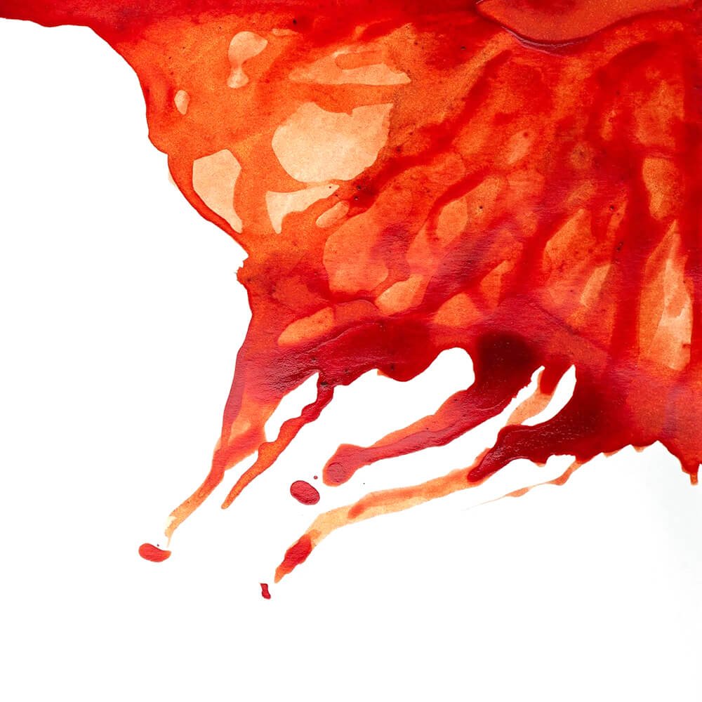 winsor and newton tinta 14ml burnt sienna 002